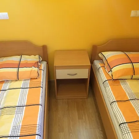 Guest house Tourist Farm Pacnik 3*